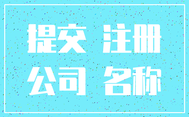 提交 注册_公司 名称