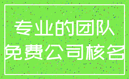 专业的团队_免费公司核名