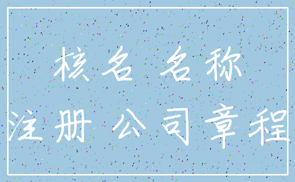 核名 名称_注册 公司章程