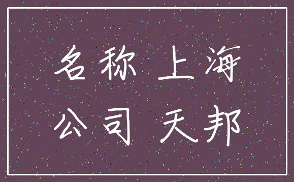 名称 上海_公司 天邦