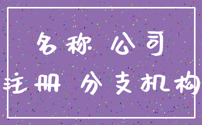 名称 公司_注册 分支机构