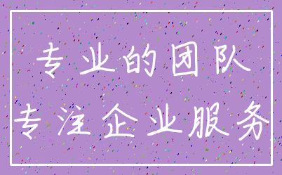 专业的团队_专注企业服务