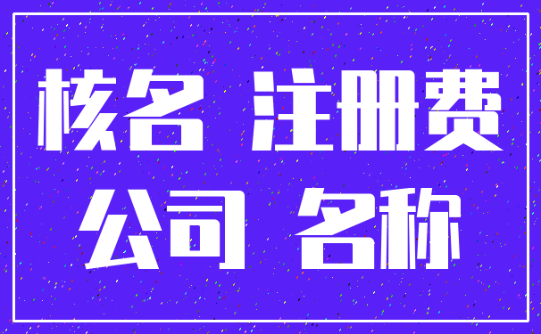 核名 注册费_公司 名称
