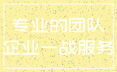 专业的团队_企业一战服务