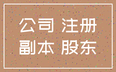 公司 注册_副本 股东