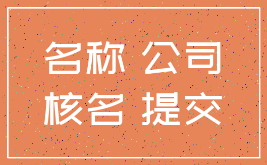 名称 公司_核名 提交