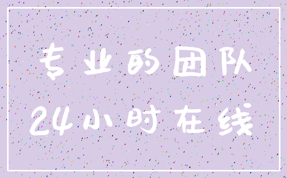 专业的团队_24小时在线