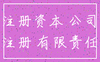 注册资本 公司_注册 有限责任