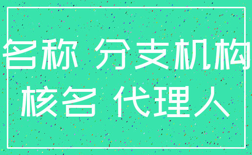 名称 分支机构_核名 代理人