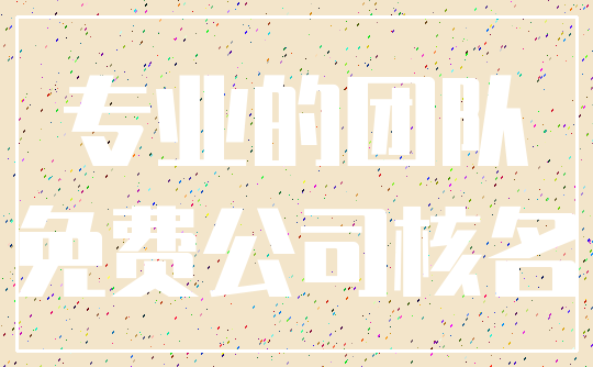 专业的团队_免费公司核名