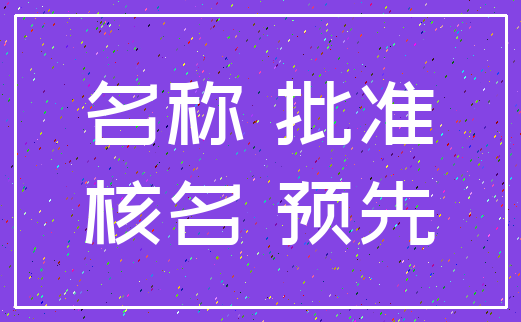 名称 批准_核名 预先