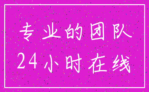 专业的团队_24小时在线