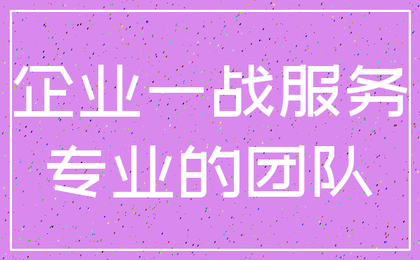 企业一战服务_专业的团队