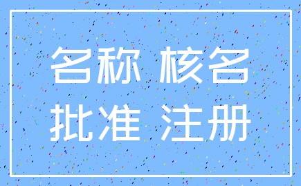 名称 核名_批准 注册