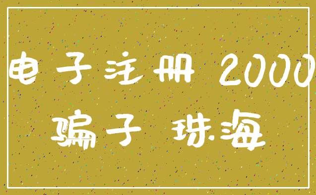 电子注册 2000_骗子 珠海
