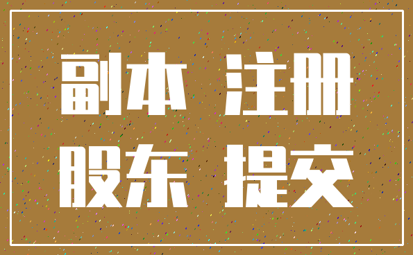 副本 注册_股东 提交