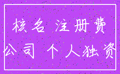 核名 注册费_公司 个人独资