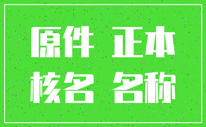 原件 正本_核名 名称