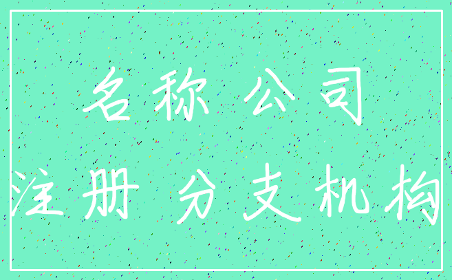 名称 公司_注册 分支机构