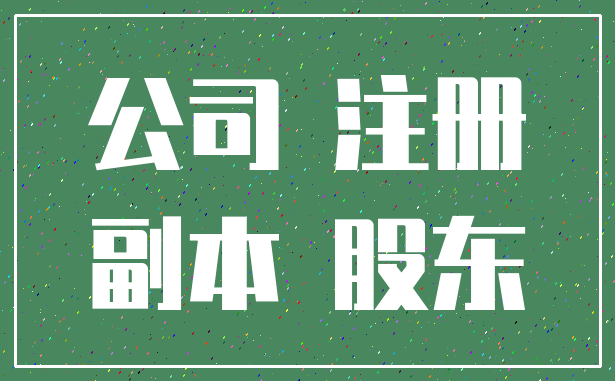 公司 注册_副本 股东