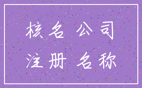 核名 公司_注册 名称