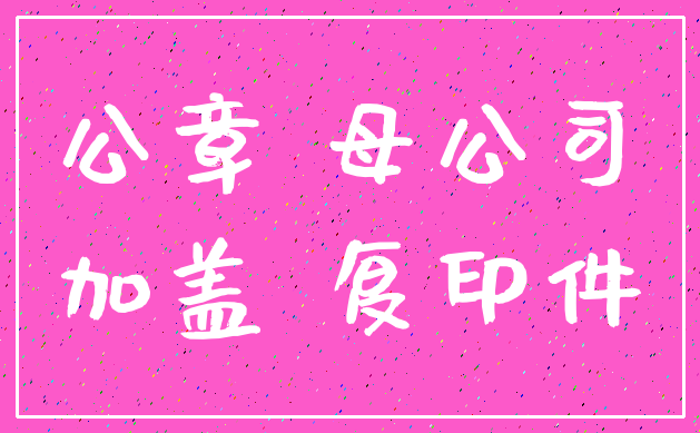 公章 母公司_加盖 复印件