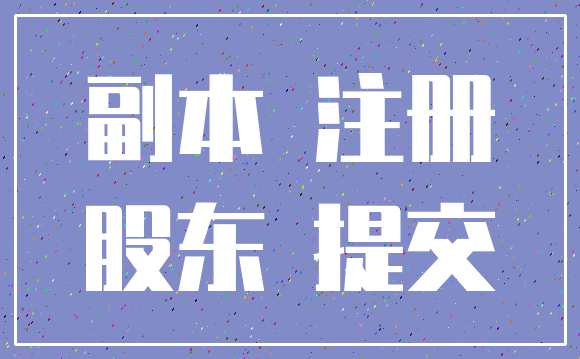 副本 注册_股东 提交