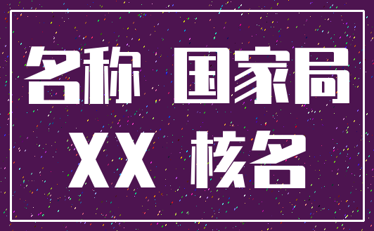 名称 国家局_XX 核名
