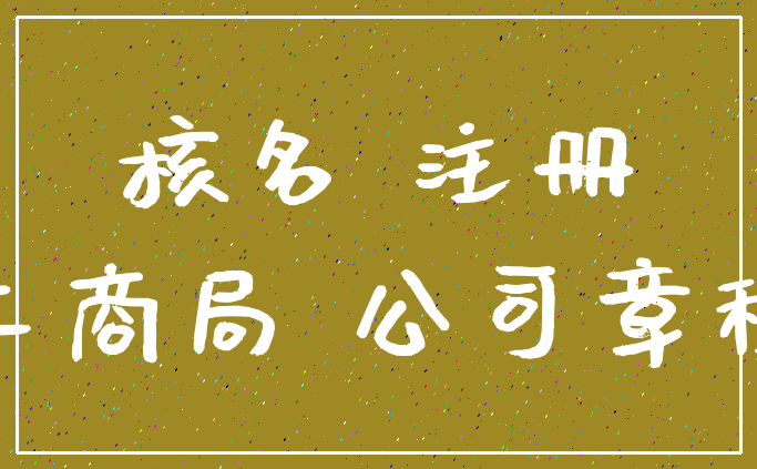核名 注册_工商局 公司章程
