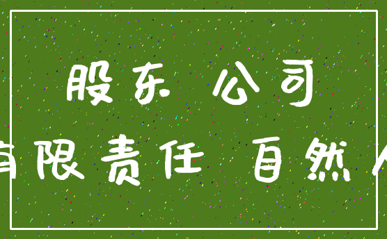 股东 公司_有限责任 自然人