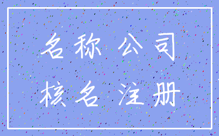 名称 公司_核名 注册
