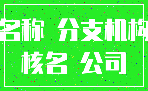 名称 分支机构_核名 公司