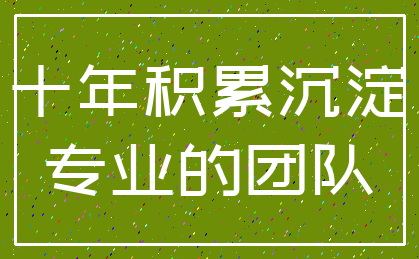 十年积累沉淀_专业的团队