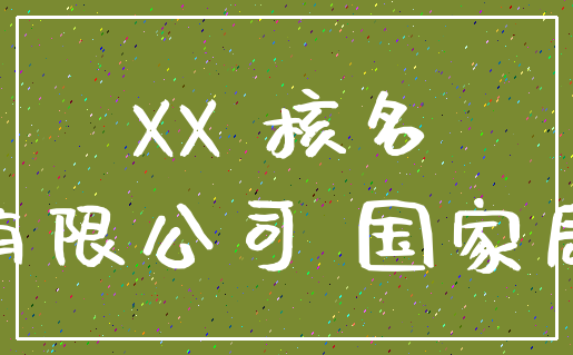 XX 核名_有限公司 国家局