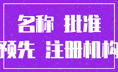 名称 批准_预先 注册机构