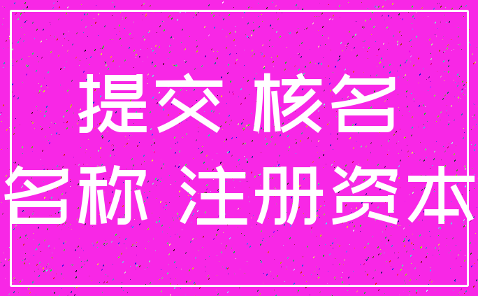 提交 核名_名称 注册资本