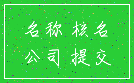 名称 核名_公司 提交