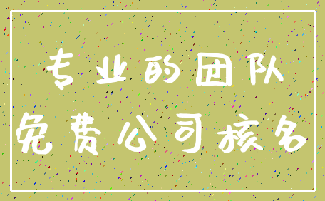 专业的团队_免费公司核名