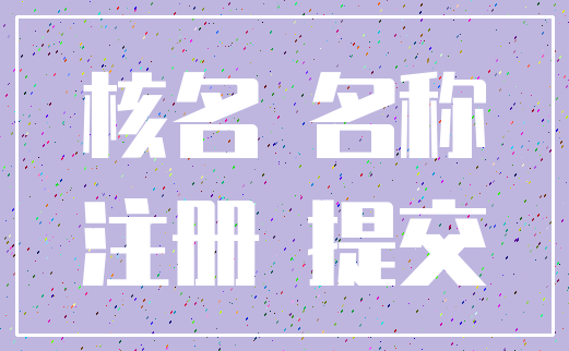 核名 名称_注册 提交