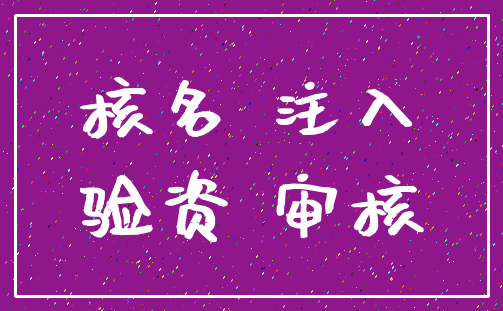 核名 注入_验资 审核