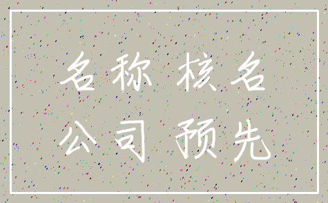 名称 核名_公司 预先