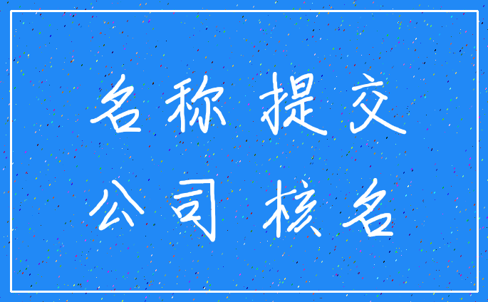 名称 提交_公司 核名