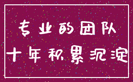 专业的团队_十年积累沉淀