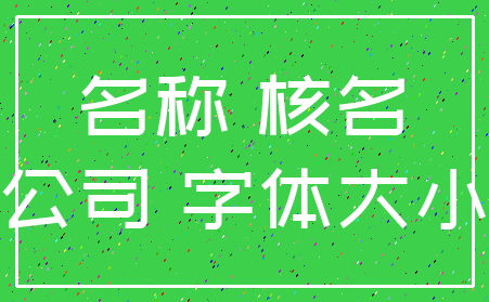 名称 核名_公司 字体大小