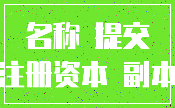 名称 提交_注册资本 副本
