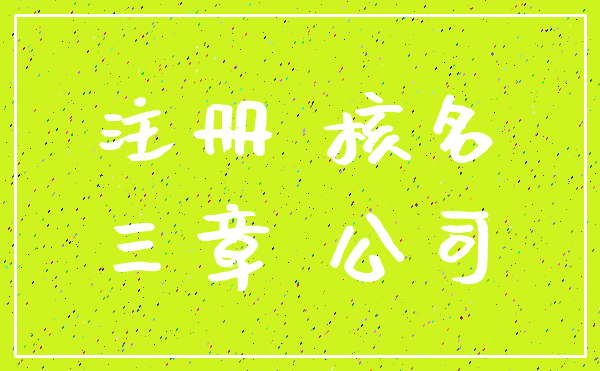 注册 核名_三章 公司