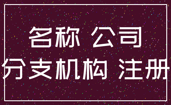 名称 公司_分支机构 注册