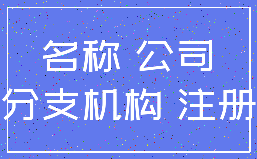 名称 公司_分支机构 注册