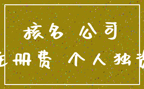 核名 公司_注册费 个人独资