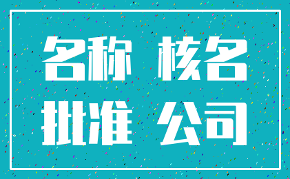 名称 核名_批准 公司